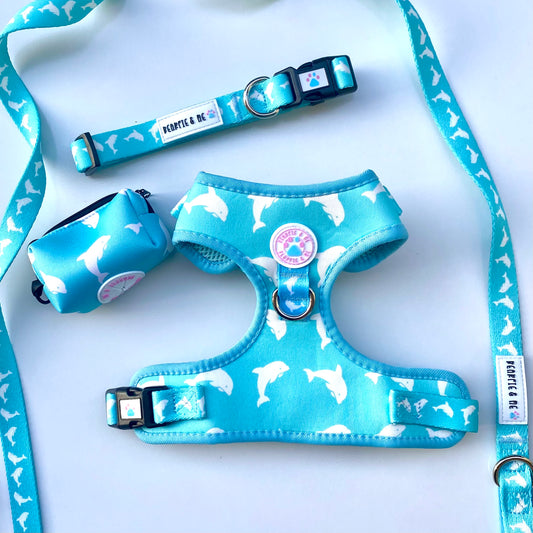 Dolphin Walk set