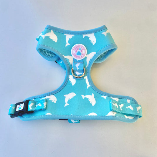 Dolphin adjustable Harness