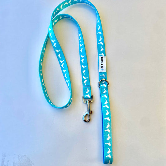 Dolphin Leash