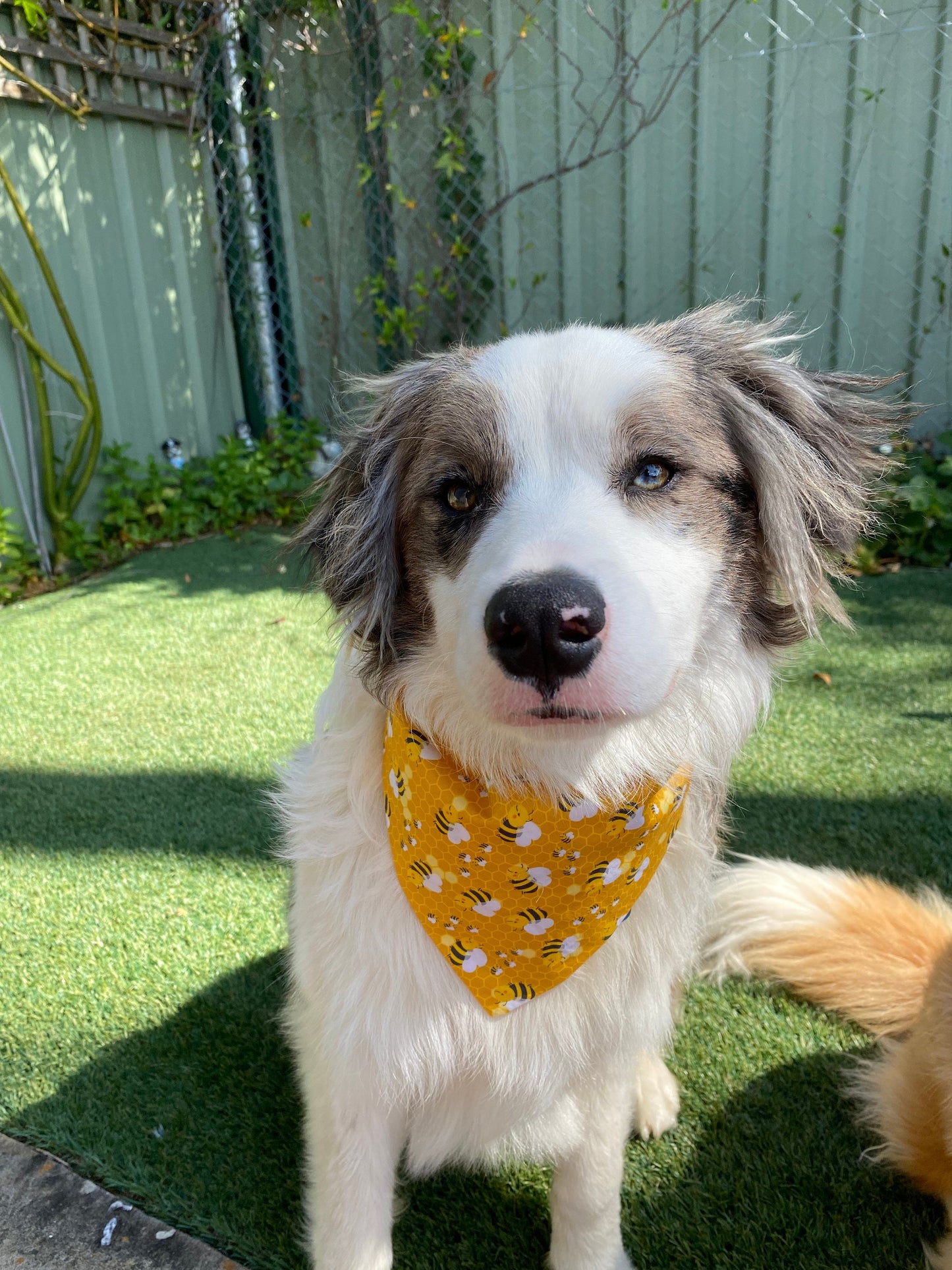 Bumble bee bandana