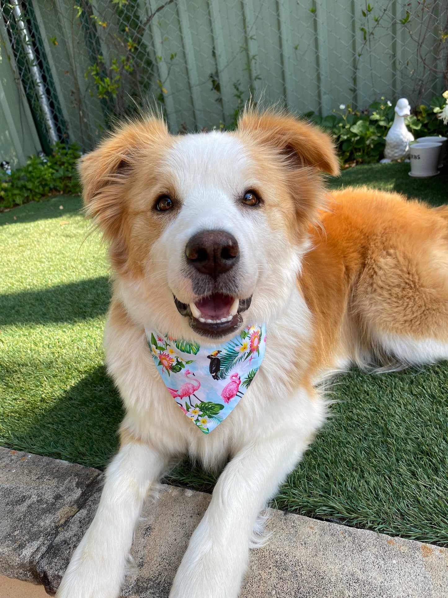 Tropical flamingo bandana