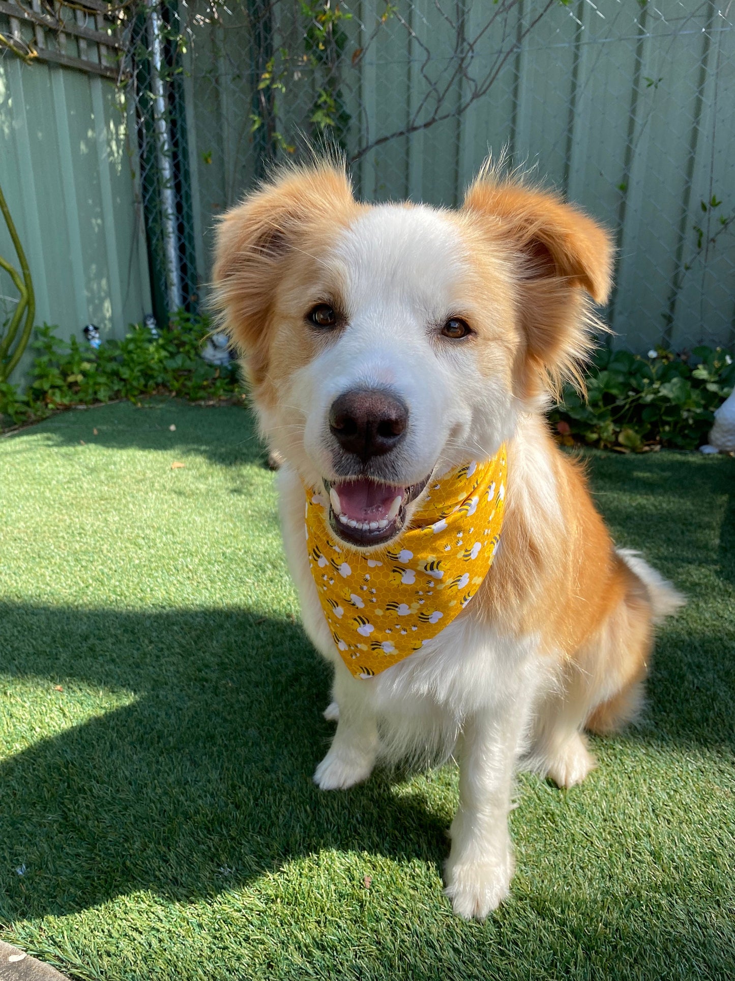 Bumble bee bandana