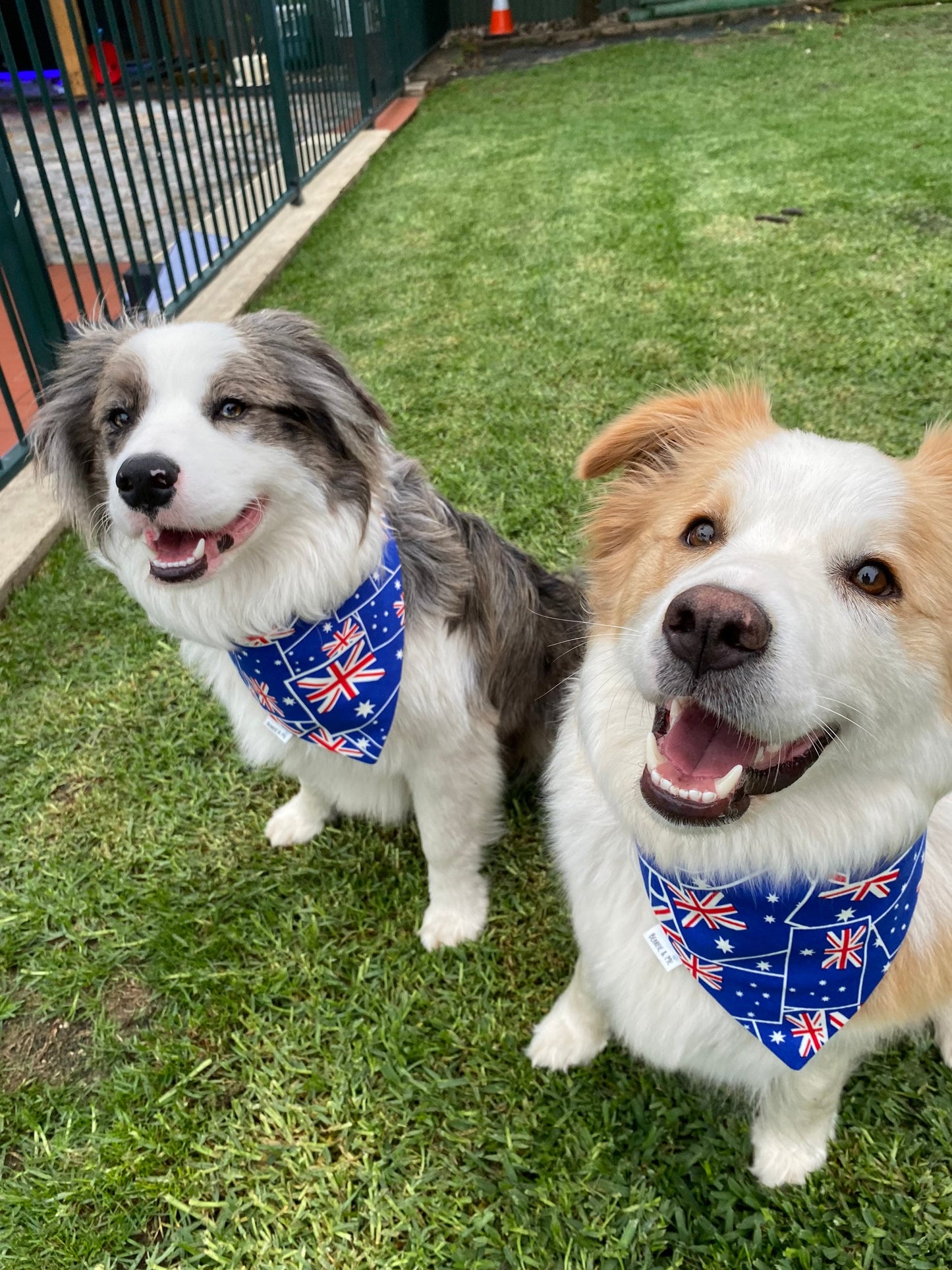 Australian bandana