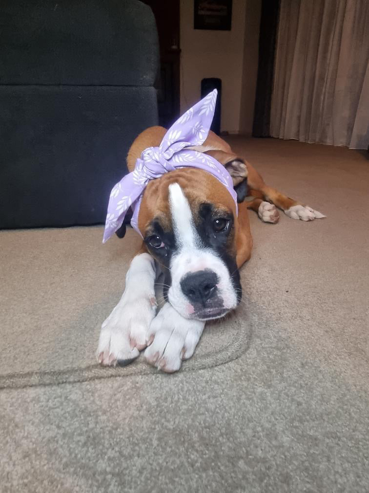 Sea Lavender bandana