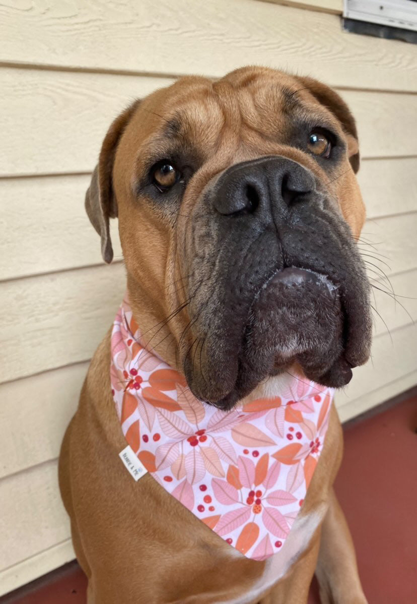 Autumn berries Bandana