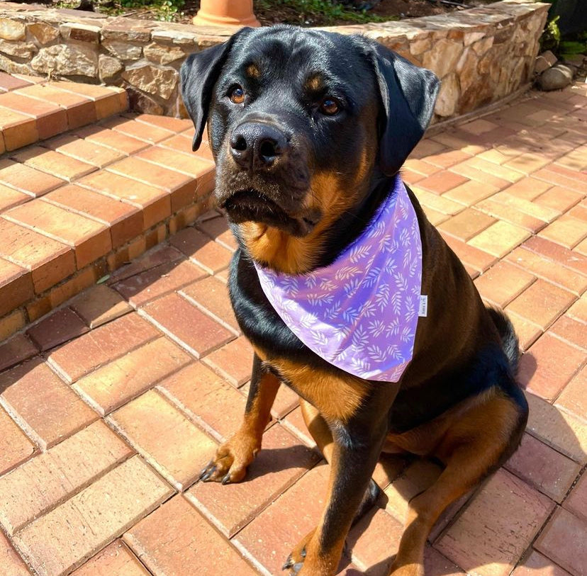 Sea Lavender bandana