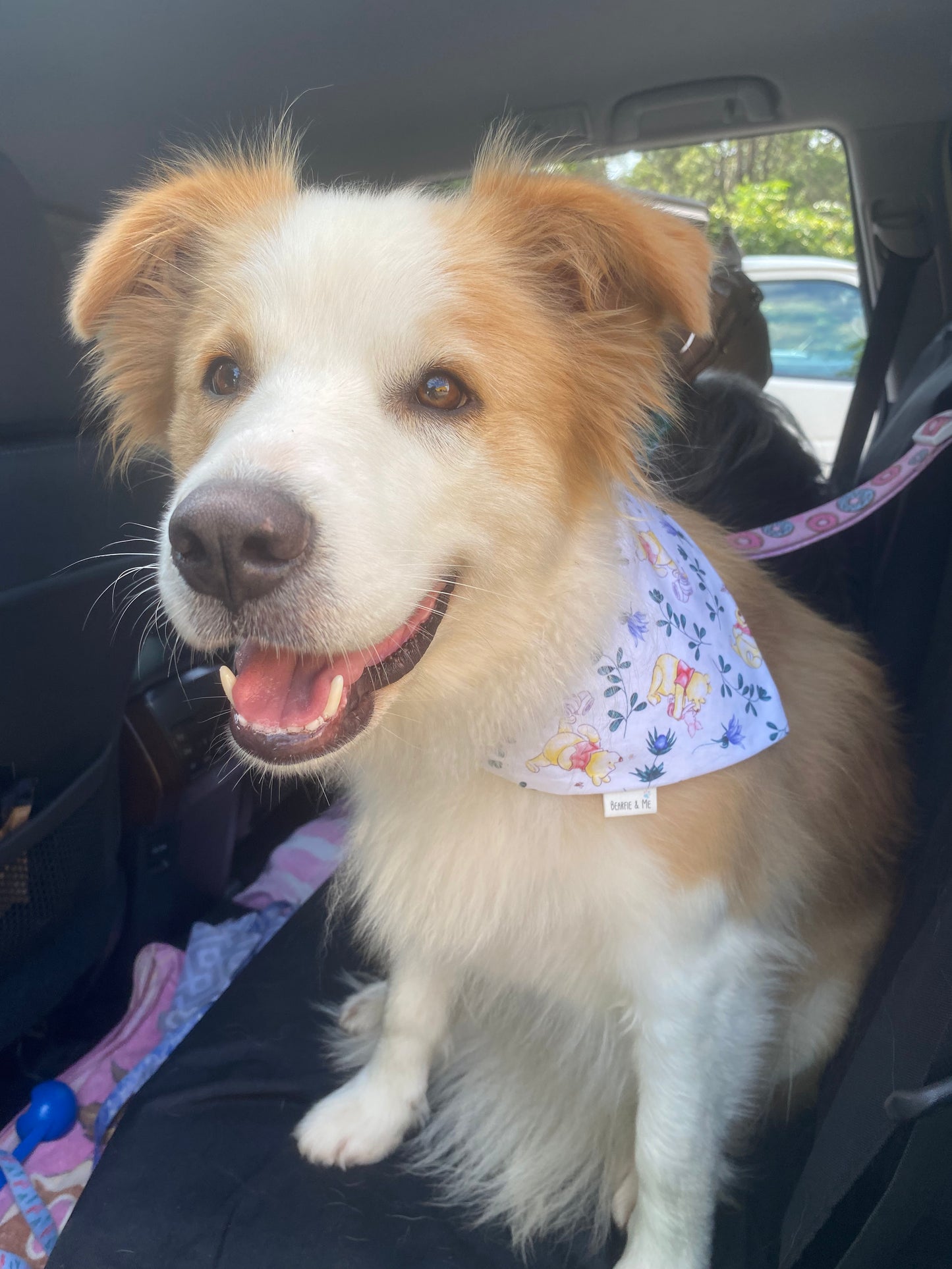 Pooh Bear Bandana