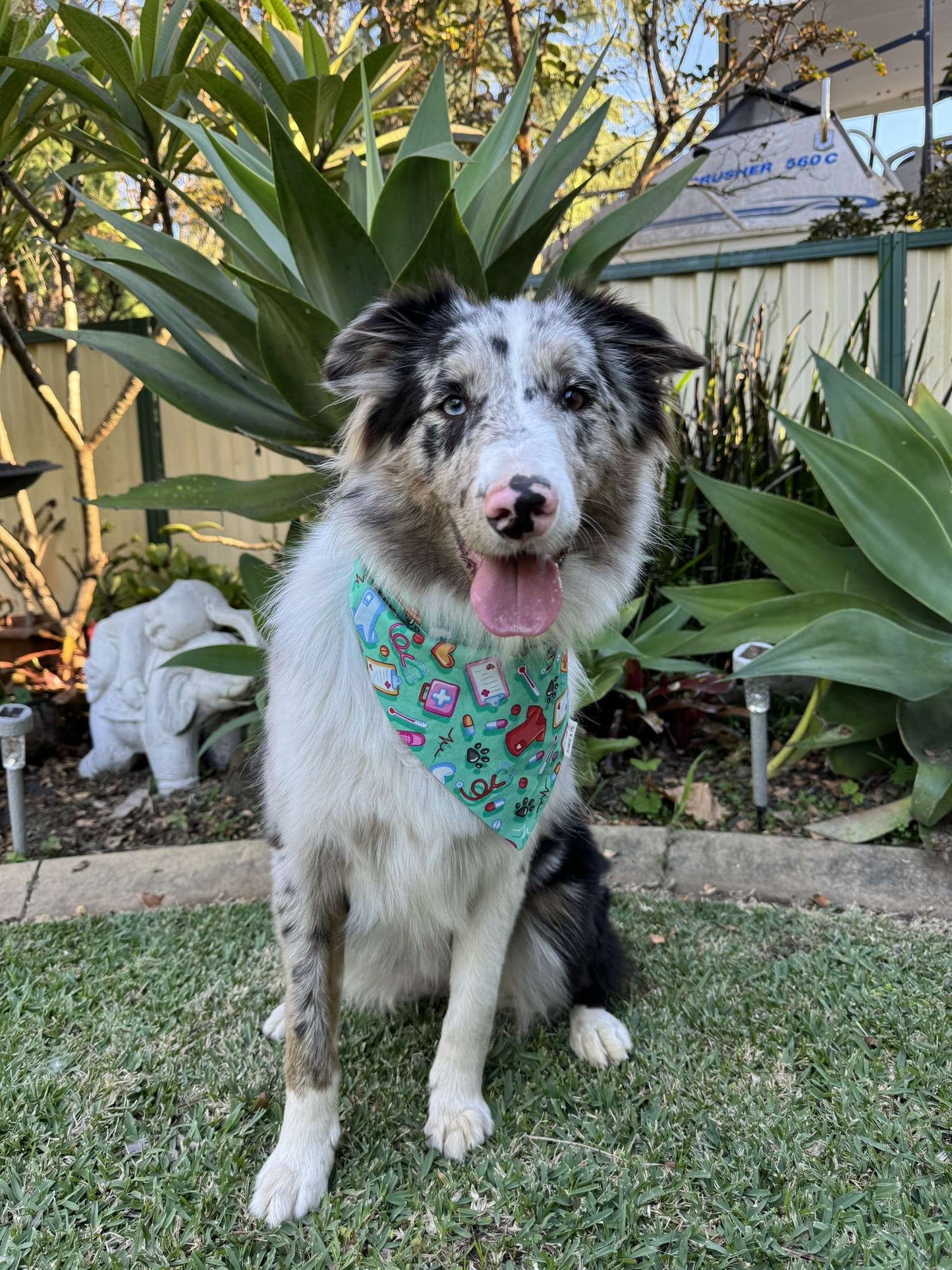 Vet Nurse Bandana